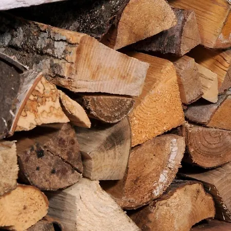 Сasa de vacaciones Almchalet Am Katschberg *